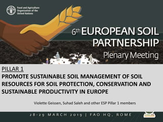 PILLAR 1
PROMOTE SUSTAINABLE SOIL MANAGEMENT OF SOIL
RESOURCES FOR SOIL PROTECTION, CONSERVATION AND
SUSTAINABLE PRODUCTIVITY IN EUROPE
Violette Geissen, Suhad Saleh and other ESP Pillar 1 members
 
