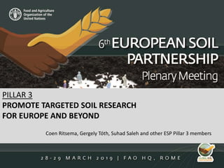 PILLAR 3
PROMOTE TARGETED SOIL RESEARCH
FOR EUROPE AND BEYOND
Coen Ritsema, Gergely Tóth, Suhad Saleh and other ESP Pillar 3 members
 