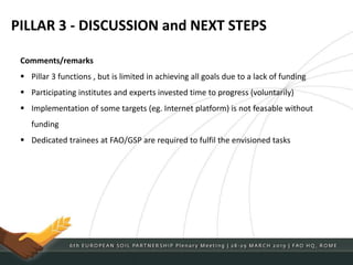 PILLAR 3 - DISCUSSION and NEXT STEPS
Comments/remarks
 Pillar 3 functions , but is limited in achieving all goals due to a lack of funding
 Participating institutes and experts invested time to progress (voluntarily)
 Implementation of some targets (eg. Internet platform) is not feasable without
funding
 Dedicated trainees at FAO/GSP are required to fulfil the envisioned tasks
 