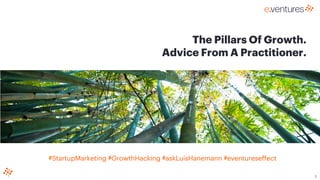 1
The Pillars Of Growth.
Advice From A Practitioner.
#StartupMarketing #GrowthHacking #askLuisHanemann #eventureseffect
 