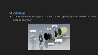 Pill camera in medicine | PPTX