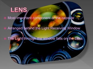  Most important component of the capsule
 Arranged behind the Light Receiving Window
 The Light through the window falls on the Lens
 