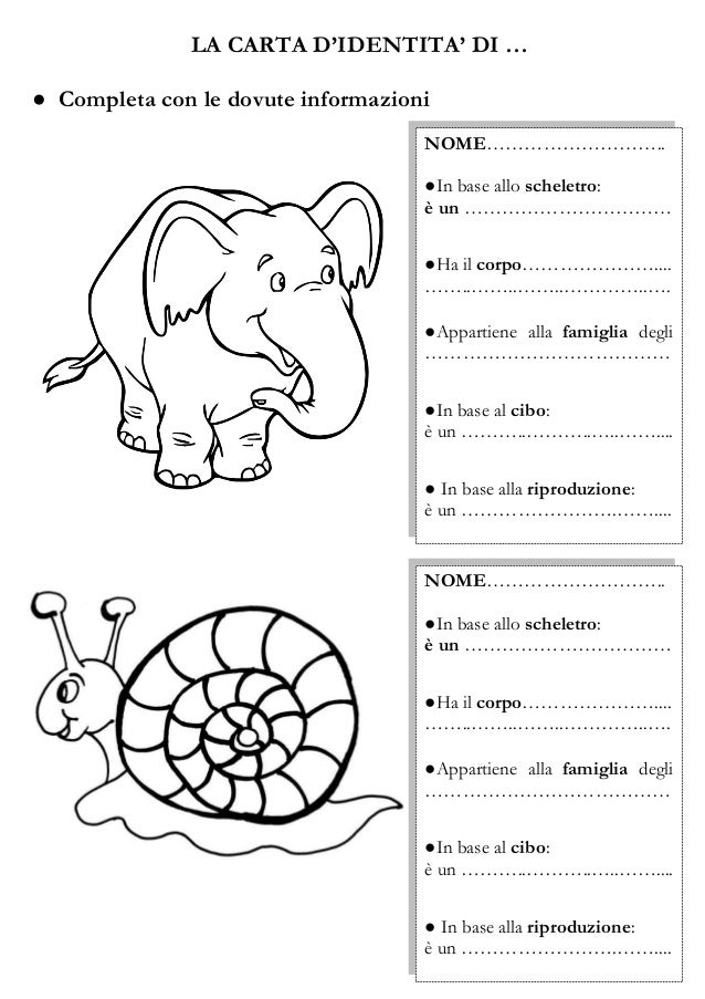 @Pillole di DIDATTICA FACILE (scienze)