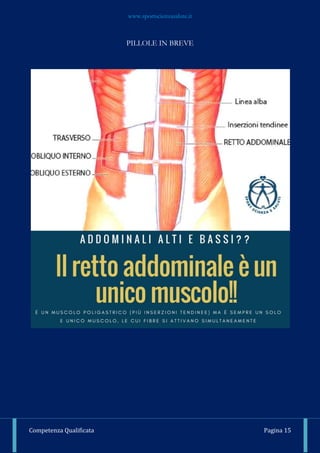www.sportscienzasalute.it
Competenza Qualificata Pagina 15
PILLOLE IN BREVE
 