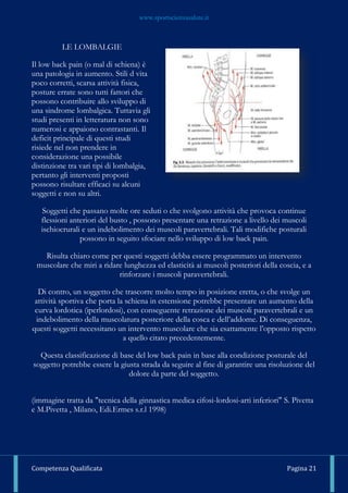 www.sportscienzasalute.it
Competenza Qualificata Pagina 21
LE LOMBALGIE
Il low back pain (o mal di schiena) è
una patologia in aumento. Stili d vita
poco corretti, scarsa attività fisica,
posture errate sono tutti fattori che
possono contribuire allo sviluppo di
una sindrome lombalgica. Tuttavia gli
studi presenti in letteratura non sono
numerosi e appaiono contrastanti. Il
deficit principale di questi studi
risiede nel non prendere in
considerazione una possibile
distinzione tra vari tipi di lombalgia,
pertanto gli interventi proposti
possono risultare efficaci su alcuni
soggetti e non su altri.
Soggetti che passano molte ore seduti o che svolgono attività che provoca continue
flessioni anteriori del busto , possono presentare una retrazione a livello dei muscoli
ischiocrurali e un indebolimento dei muscoli paravertebrali. Tali modifiche posturali
possono in seguito sfociare nello sviluppo di low back pain.
Risulta chiaro come per questi soggetti debba essere programmato un intervento
muscolare che miri a ridare lunghezza ed elasticità ai muscoli posteriori della coscia, e a
rinforzare i muscoli paravertebrali.
Di contro, un soggetto che trascorre molto tempo in posizione eretta, o che svolge un
attività sportiva che porta la schiena in estensione potrebbe presentare un aumento della
curva lordotica (iperlordosi), con conseguente retrazione dei muscoli paravertebrali e un
indebolimento della muscolatura posteriore della cosca e dell’addome. Di conseguenza,
questi soggetti necessitano un intervento muscolare che sia esattamente l’opposto rispetto
a quello citato precedentemente.
Questa classificazione di base del low back pain in base alla condizione posturale del
soggetto potrebbe essere la giusta strada da seguire al fine di garantire una risoluzione del
dolore da parte del soggetto.
(immagine tratta da "tecnica della ginnastica medica cifosi-lordosi-arti inferiori" S. Pivetta
e M.Pivetta , Milano, Edi.Ermes s.r.l 1998)
 