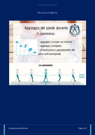 www.sportscienzasalute.it
Competenza Qualificata Pagina 40
PILLOLE IN BREVE
 