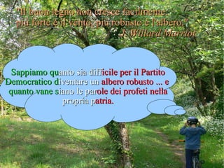 Sappiamo qu anto sia   diff icile per il Partito   Democratico d iventare   un  albero robusto ... e   quanto vane s iano le   par ole dei profeti nella   propria   p atria. "Il buon legno non cresce facilmente:  più forte è il vento, più robusto è l'albero."  J. Willard Marriot 