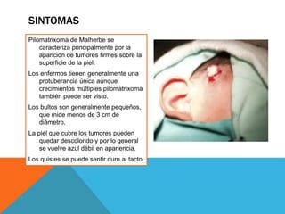 SINTOMAS
Pilomatrixoma de Malherbe se
caracteriza principalmente por la
aparición de tumores firmes sobre la
superficie de la piel.
Los enfermos tienen generalmente una
protuberancia única aunque
crecimientos múltiples pilomatrixoma
también puede ser visto.
Los bultos son generalmente pequeños,
que mide menos de 3 cm de
diámetro.
La piel que cubre los tumores pueden
quedar descolorido y por lo general
se vuelve azul débil en apariencia.
Los quistes se puede sentir duro al tacto.
 