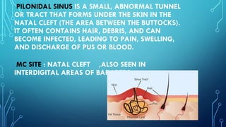 Pilonidal Sinus Presentation anatomy pathology And Management ppt