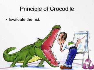 Principle of Crocodile
• Evaluate the risk
 