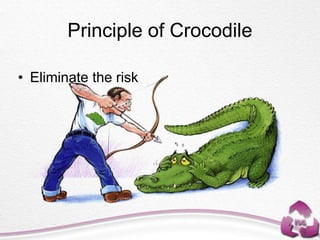 Principle of Crocodile
• Eliminate the risk
 