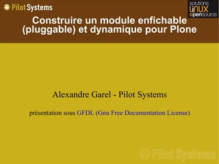 Construire un module enfichable
(pluggable) et dynamique pour Plone




        Alexandre Garel - Pilot Systems
 présentation sous GFDL (Gnu Free Documentation License)
 