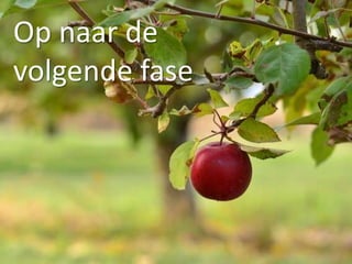 Op naar de
volgende fase
 
