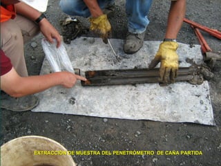 EXTRACCI
EXTRACCIÓ
ÓN DE MUESTRA DEL PENETR
N DE MUESTRA DEL PENETRÓ
ÓMETRO DE CA
METRO DE CAÑ
ÑA PARTIDA
A PARTIDA
 
