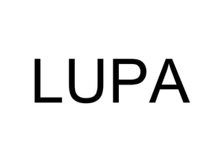LUPA 