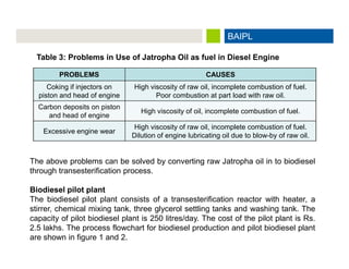 Production of Biodiesel from Jatropha Curcas Oil by using Pilot ...