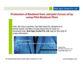 Bulk Agro (India) Pvt. Ltd.
                                                                      The Global Exchange for Social Investment




      Production of Biodiesel from Jatropha Curcas oil by
                  using Pilot Biodiesel Plant


         India, like many countries, has high hopes for Jatropha as a
         biofuel source, but little is known about how to make it a
         successful crop. Bulk Agro (India) Pvt. Ltd. digs for the roots of
         a new enthusiasm.




                                                                 Deepak Sain
                                                                 Bulk Agro (India) Pvt. Ltd.
                                                                 deepak@bulkagro.com




All Rights Reserved to Bulk Agro (India) Pvt. Ltd.                        www.bulkagro.com
 