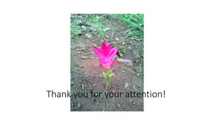 Thank you for your attention!
 