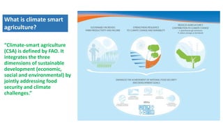 “Climate-smart agriculture
(CSA) is defined by FAO. It
integrates the three
dimensions of sustainable
development (economic,
social and environmental) by
jointly addressing food
security and climate
challenges.”
What is climate smart
agriculture?
 