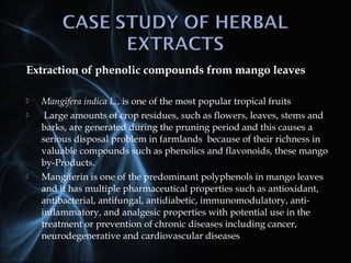 Extraction of phenolic compounds from mango leaves
 Mangifera indica L., is one of the most popular tropical fruits
 Large amounts of crop residues, such as flowers, leaves, stems and
barks, are generated during the pruning period and this causes a
serious disposal problem in farmlands because of their richness in
valuable compounds such as phenolics and flavonoids, these mango
by-Products.
 Mangiferin is one of the predominant polyphenols in mango leaves
and it has multiple pharmaceutical properties such as antioxidant,
antibacterial, antifungal, antidiabetic, immunomodulatory, anti-
inflammatory, and analgesic properties with potential use in the
treatment or prevention of chronic diseases including cancer,
neurodegenerative and cardiovascular diseases
 