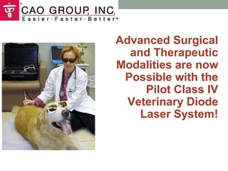 Advanced Surgical and Therapeutic Modalities are now Possible with the Pilot Class IV Veterinary Diode Laser System! 