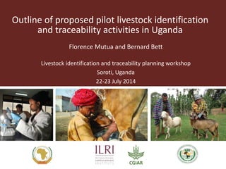 Outline of proposed pilot livestock identification 
and traceability activities in Uganda 
Florence Mutua and Bernard Bett 
Livestock identification and traceability planning workshop 
Soroti, Uganda 
22-23 July 2014 
 