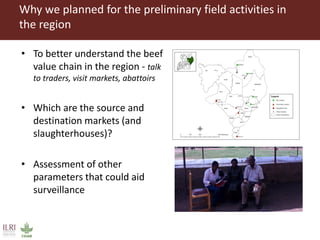 Outline of proposed pilot livestock identification and traceability activities in Uganda