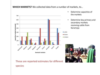 Outline of proposed pilot livestock identification and traceability activities in Uganda
