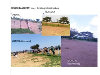 Outline of proposed pilot livestock identification and traceability activities in Uganda