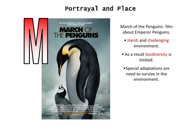 OCR Pilot Geography Revision notes 2010