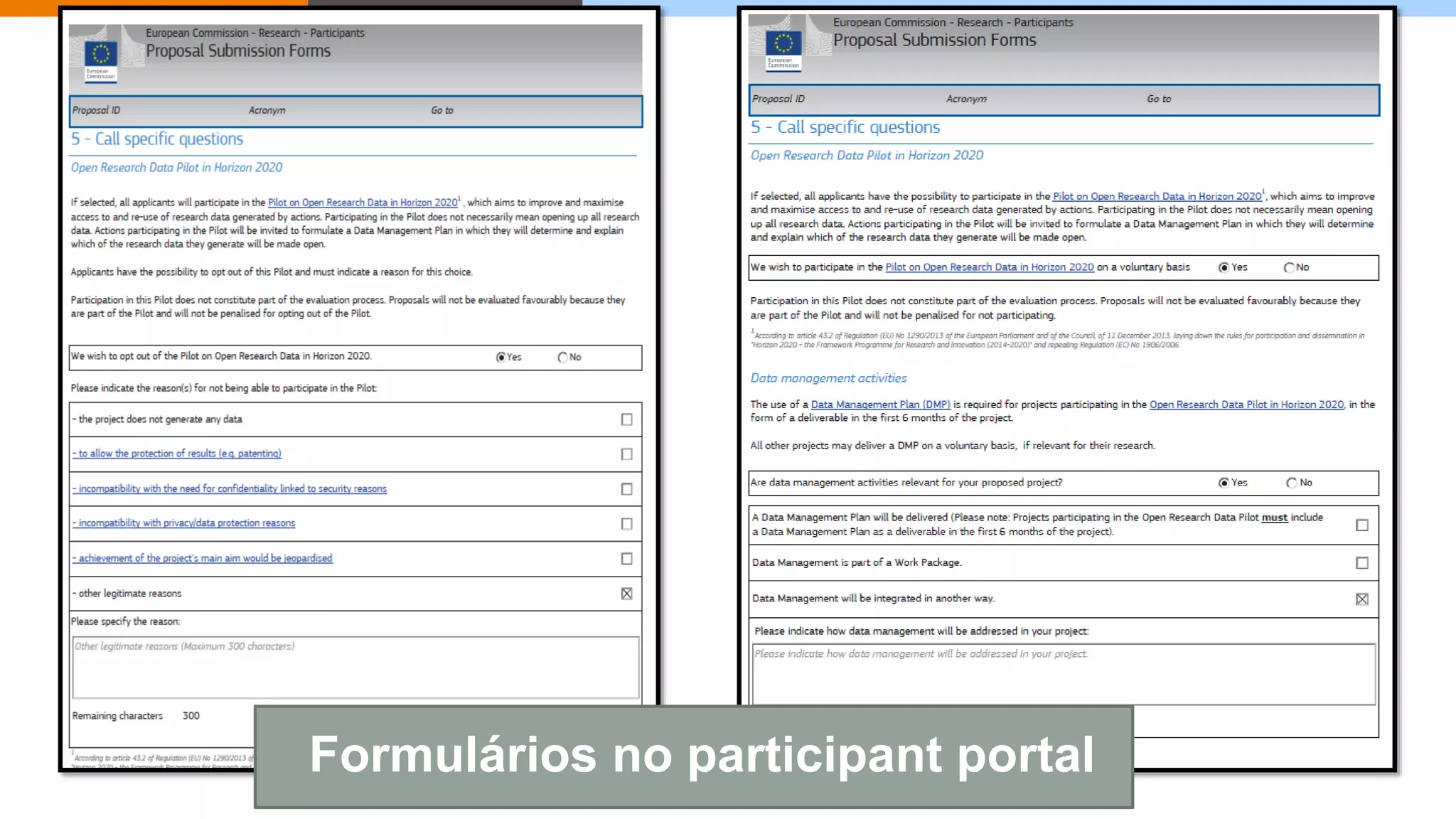 Formulários no participant portal
 