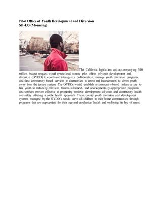 Pilot Office of Youth Development and Diversion
SB 433 (Monning)
This California legislation and accompanying $10
million budget request would create local county pilot offices of youth development and
diversion (OYDD) to coordinate interagency collaboration, manage youth diversion programs,
and fund community-based services as alternatives to arrest and incarceration to divert youth
away from the justice system. The OYDDs would establish a community-based infrastructure to
link youth to culturally-relevant, trauma-informed, and developmentally-appropriate programs
and services proven effective at promoting positive development of youth and community health
and safety utilizing a public health approach. These county youth diversion and development
systems managed by the OYDD’s would serve all children in their home communities through
programs that are appropriate for their age and emphasize health and wellbeing in lieu of arrest.
 