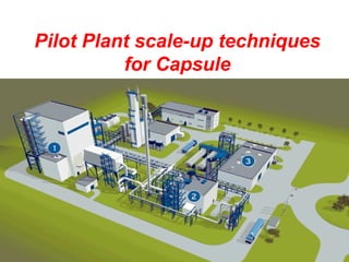 Pilot Plant scale-up techniques 
for Capsule 
 