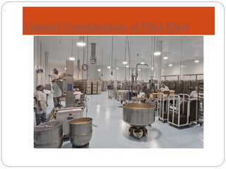 General Consideration of Pilot Plant
 