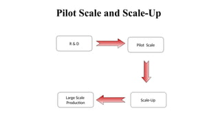 Pilot Scale
Scale-Up
R & D
Large Scale
Production
Pilot Scale and Scale-Up
 