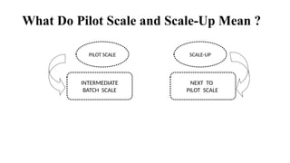 Pilot Plant Scale Up Techniquesssss.pptx