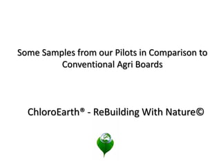 Some Samples from our Pilots in Comparison to
Conventional Agri Boards
ChloroEarth® - ReBuilding With Nature©
 