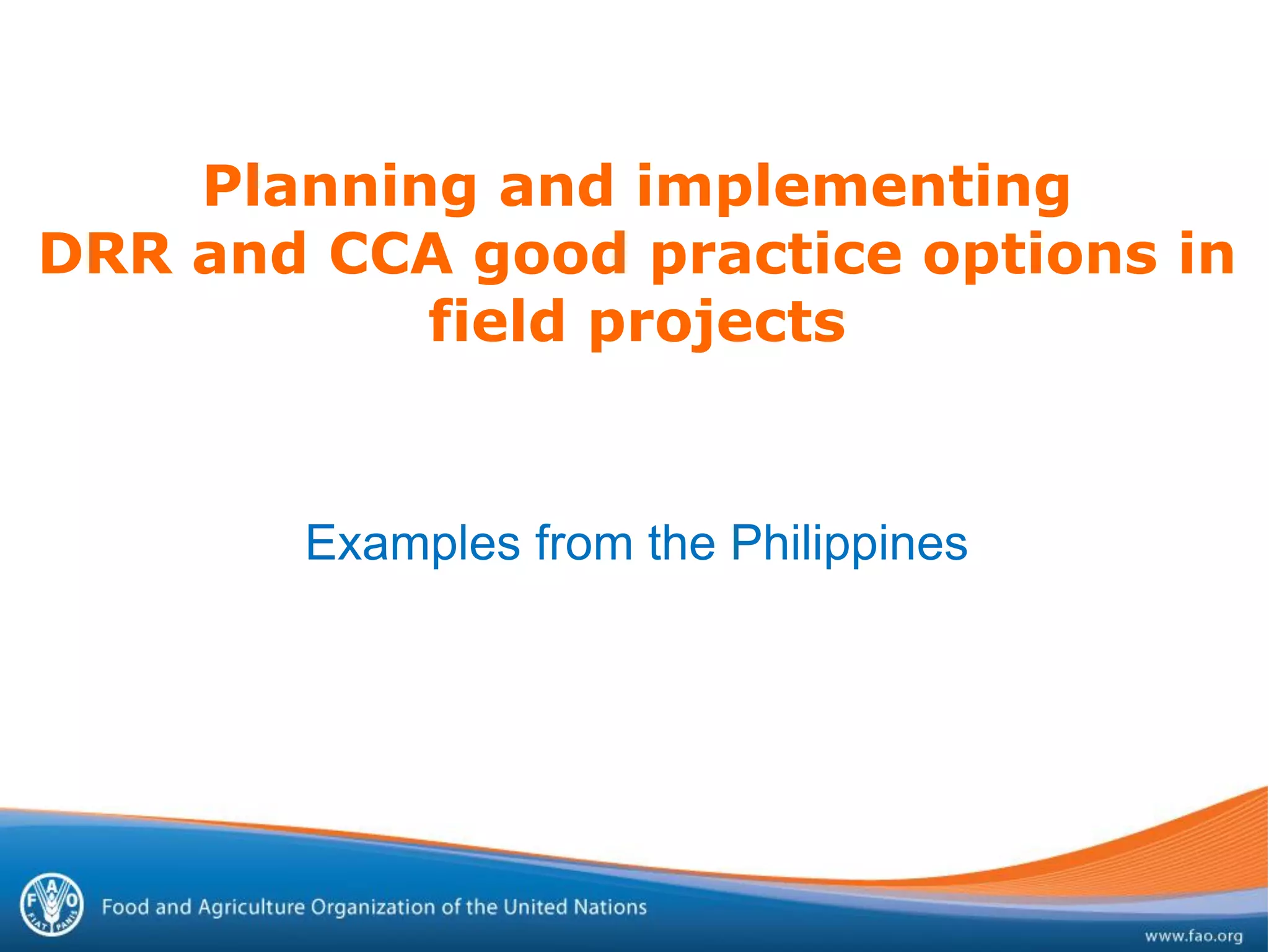 Planning and implementing
DRR and CCA good practice options in
field projects
Examples from the Philippines
 