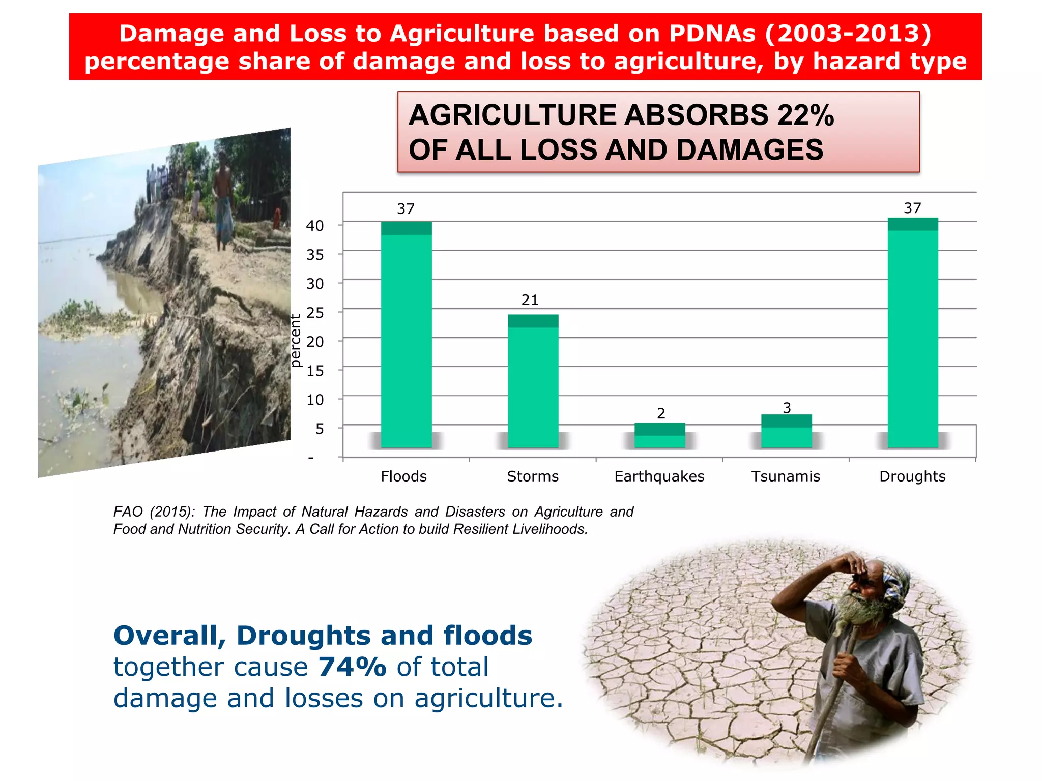 Overall, Droughts and floods
together cause 74% of total
damage and losses on agriculture.
-
5
10
15
20
25
30
35
40
Floods Storms Earthquakes Tsunamis Droughts
37
21
2 3
37
percent
FAO (2015): The Impact of Natural Hazards and Disasters on Agriculture and
Food and Nutrition Security. A Call for Action to build Resilient Livelihoods.
AGRICULTURE ABSORBS 22%
OF ALL LOSS AND DAMAGES
Damage and Loss to Agriculture based on PDNAs (2003-2013)
percentage share of damage and loss to agriculture, by hazard type
 