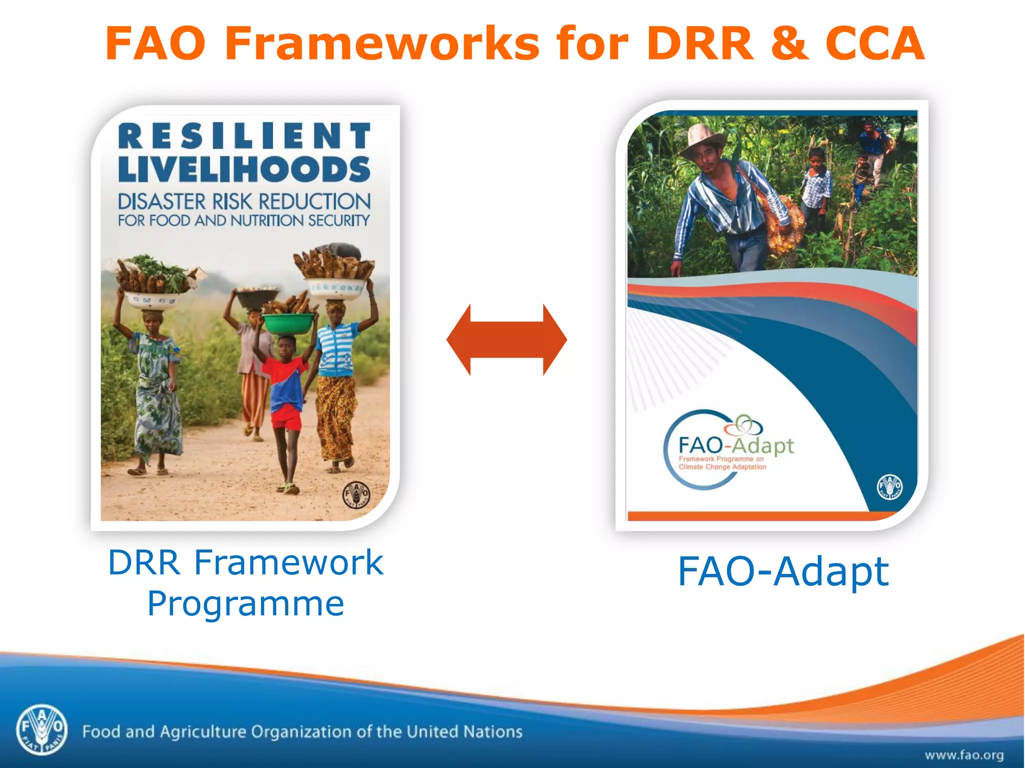 FAO-Adapt
FAO Frameworks for DRR & CCA
DRR Framework
Programme
 