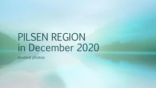 PILSEN REGION
in December 2020
student photos
 