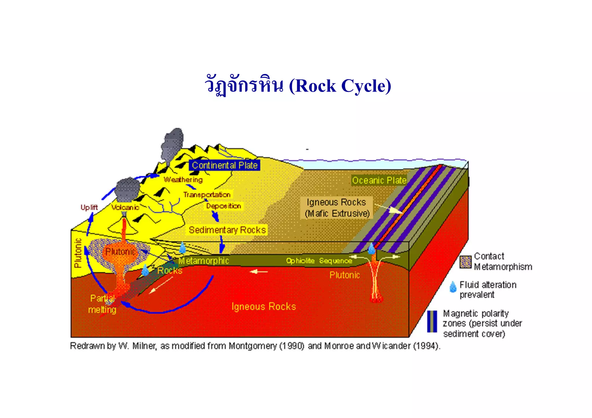 วัฏจักรหิน (Rock Cycle)
 