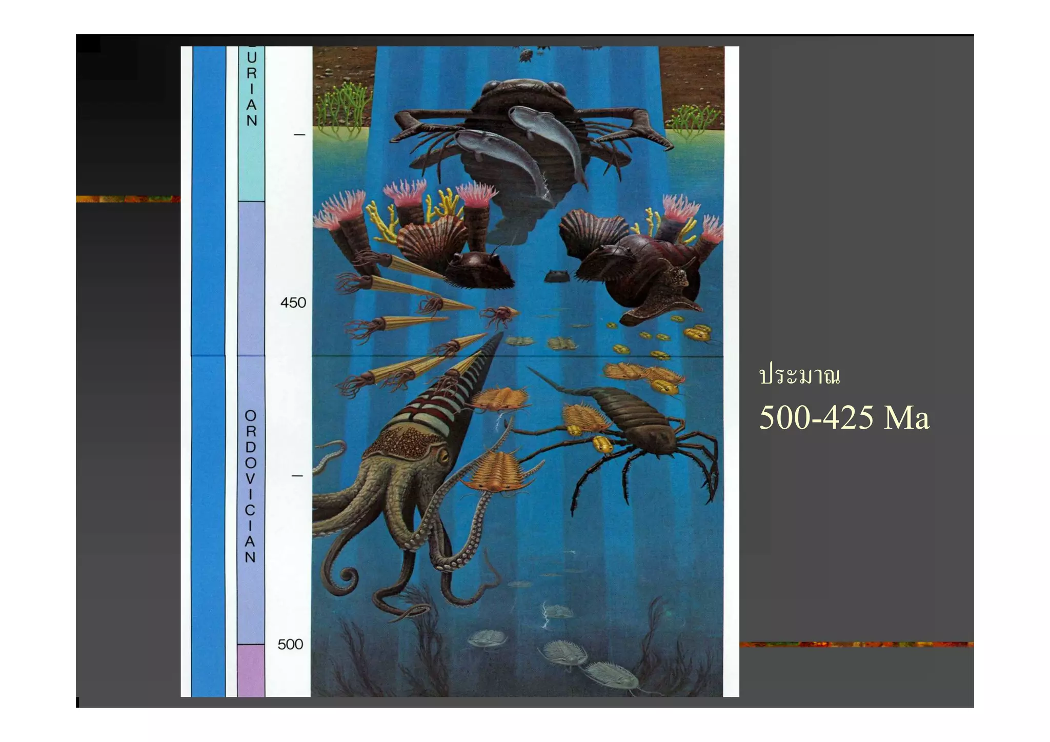 ประมาณ
500-425 Ma
 