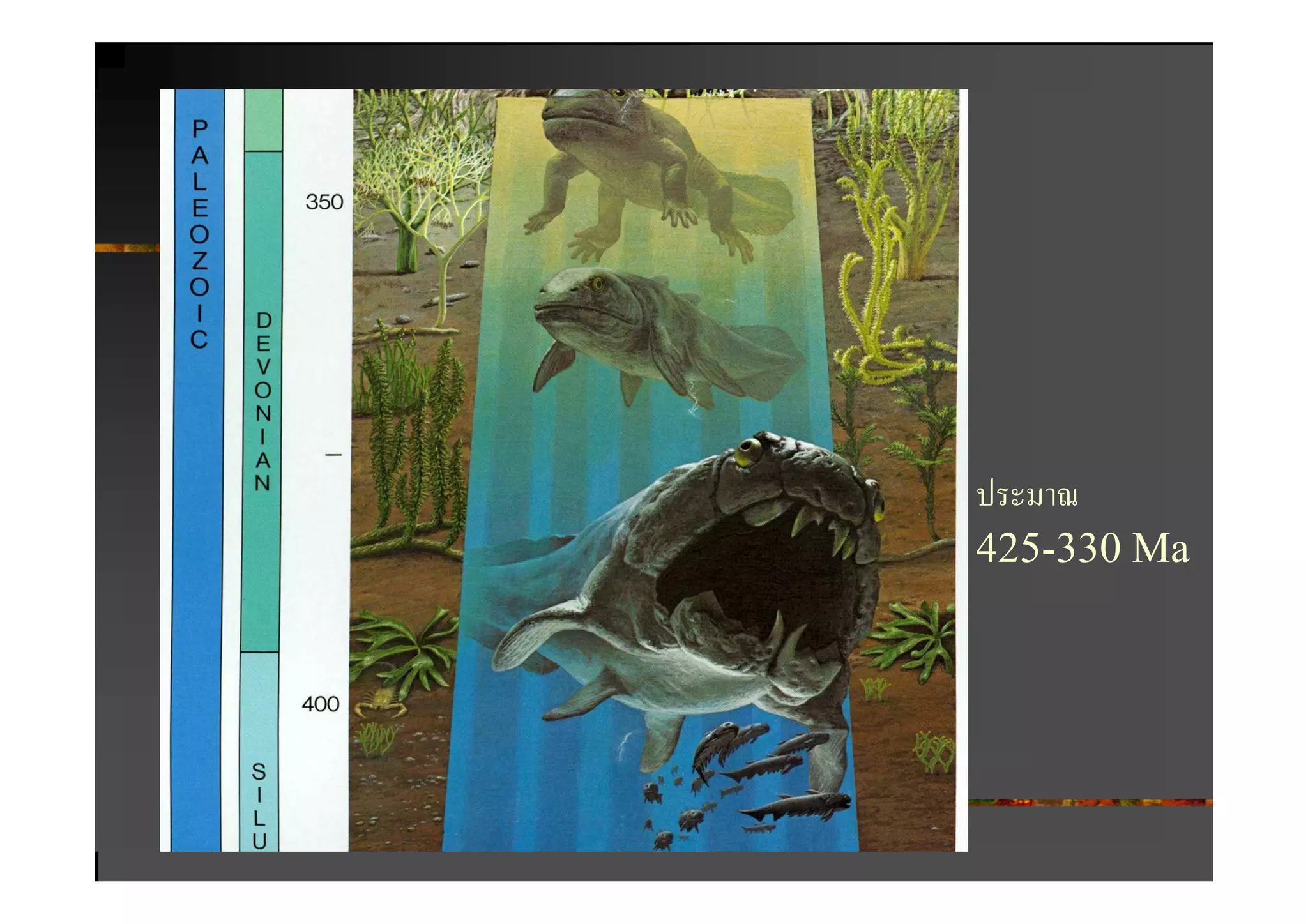 ประมาณ
425-330 Ma
 