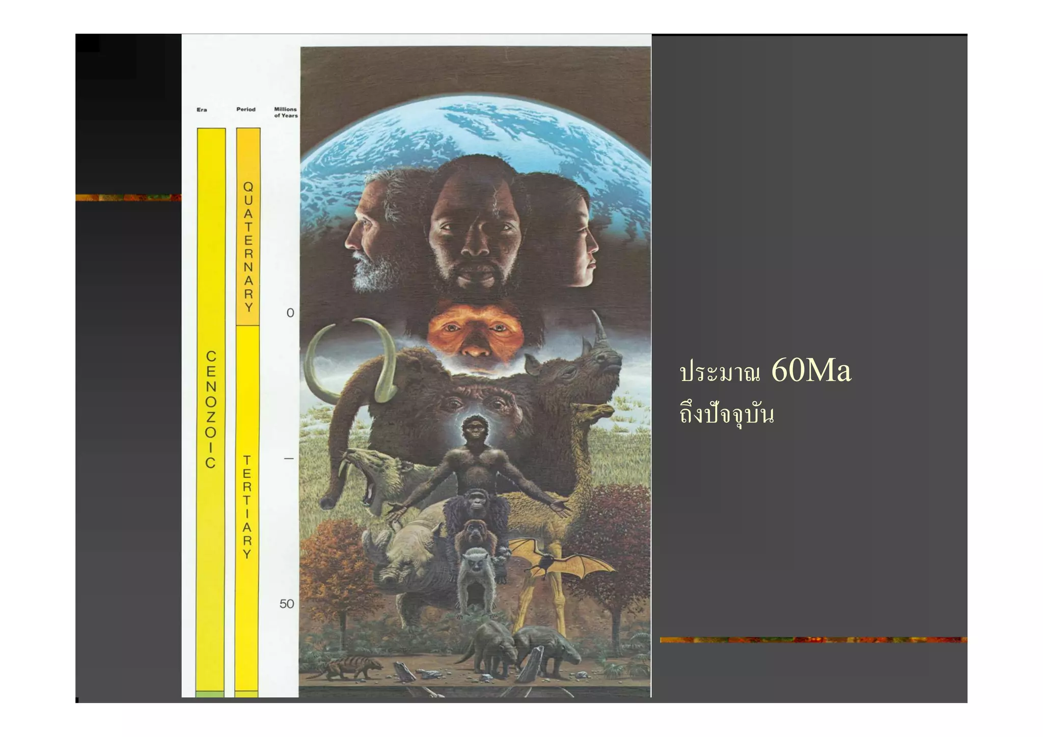 ประมาณ 60Ma
ถึงปั จจุบน
          ั
 