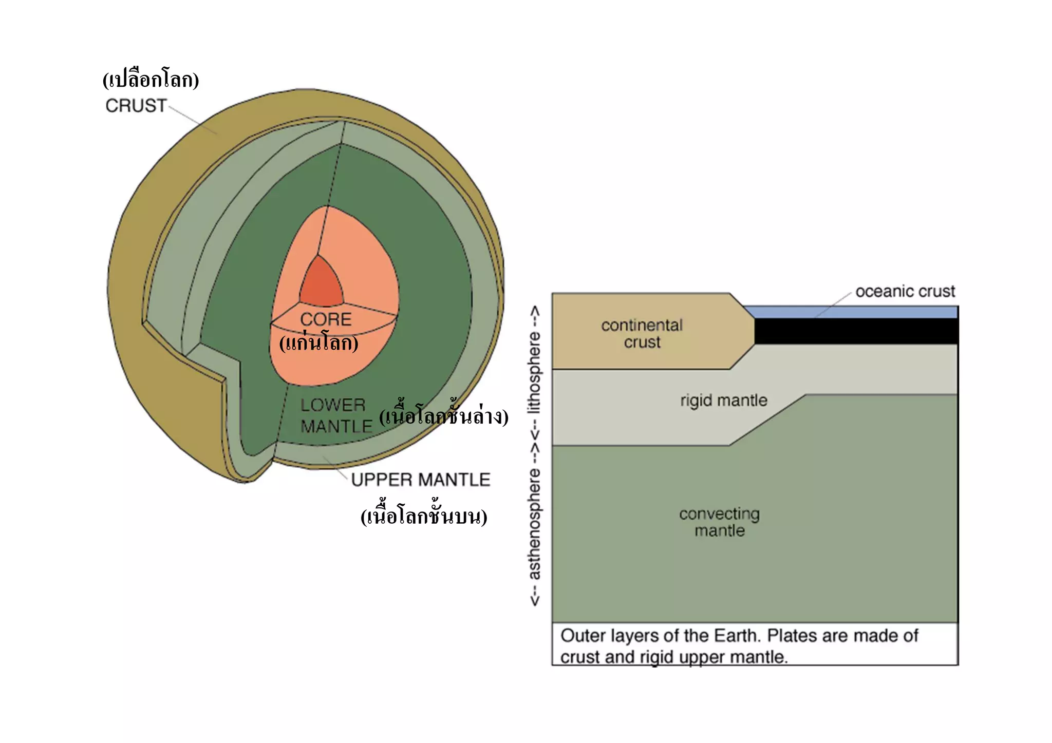 (เปลือกโลก)




              (แก่ นโลก)

                             (เนือโลกชั-นล่ าง)
                                 -


                           (เนือโลกชั-นบน)
                               -
 