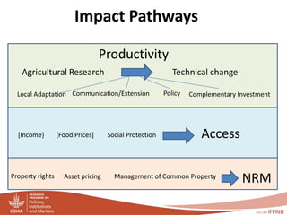 PIM - Presentation for Discussion with Donors and Partners - June 2013