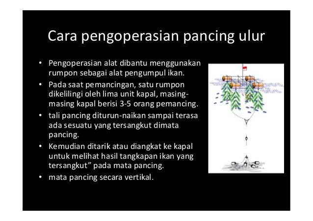Pim1221 10 menangkap ikan dengan pancing rawe