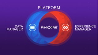 EXPERIENCE
MANAGER
DATA
MANAGER
PLATFORM
 