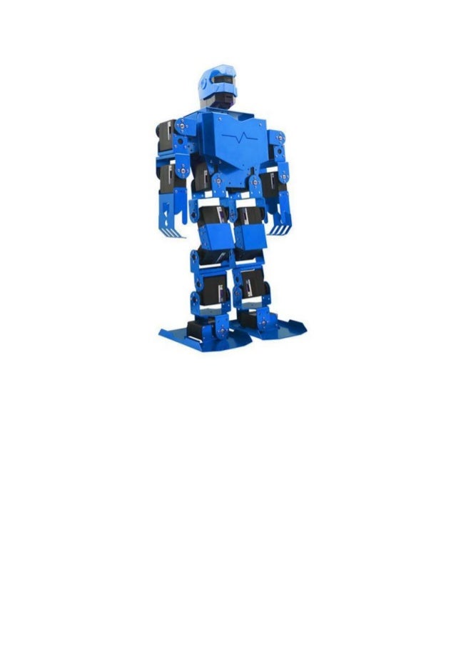 raspberry pi humanoid